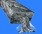 ȫ懻ʯīP