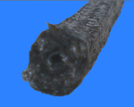 ƫSñP